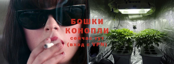 ALPHA-PVP Вяземский