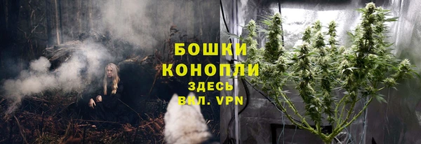 ALPHA-PVP Вяземский