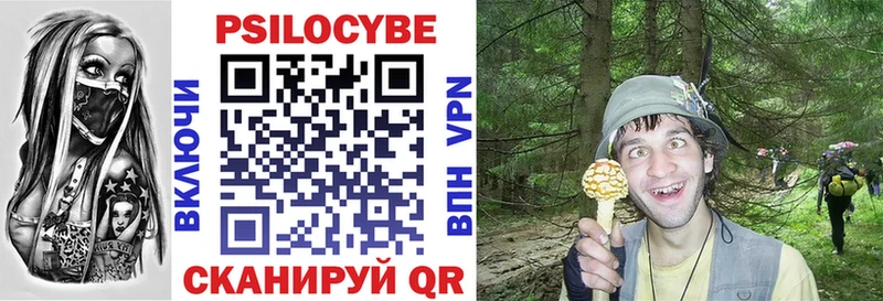 Галлюциногенные грибы Magic Shrooms  Купить где  Макаров 